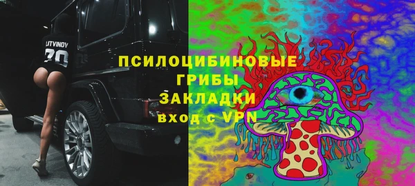 шишки Сафоново