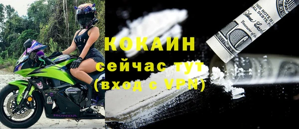 шишки Сафоново