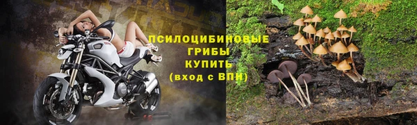 героин Сатка