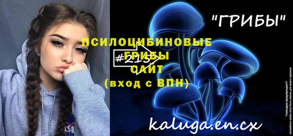 Альфа ПВП Каменка