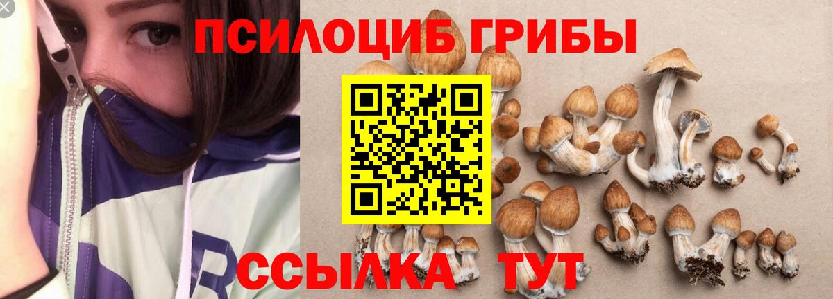Галлюциногенные грибы Magic Shrooms Ишимбай
