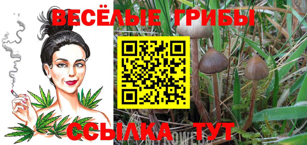Псилоцибиновые грибы мухоморы  Вход с VPN  Ишимбай  Галлюциногенные грибы мухоморы 